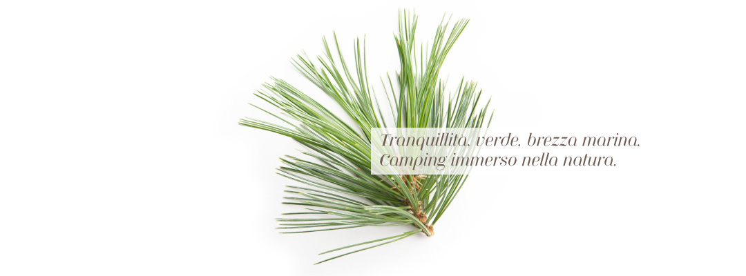camping e sosta camper Orti di Mare