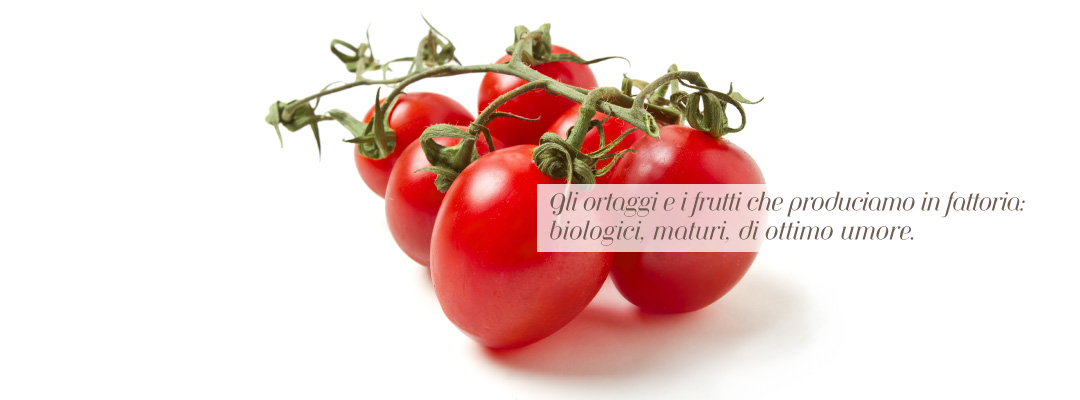 prodotti biologici Orti di Mare