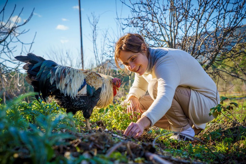 The organic Farm. Camping Orti di Mare, Elba Island, Italy