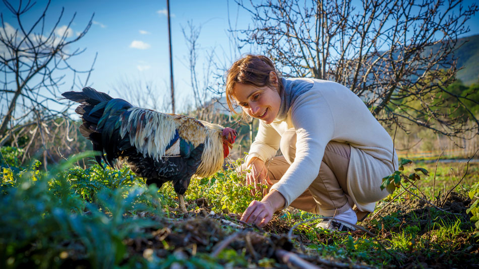 The organic Farm. Camping Orti di Mare, Elba Island, Italy