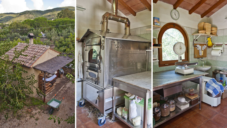 The organic Farm. Camping Orti di Mare, Elba Island, Italy