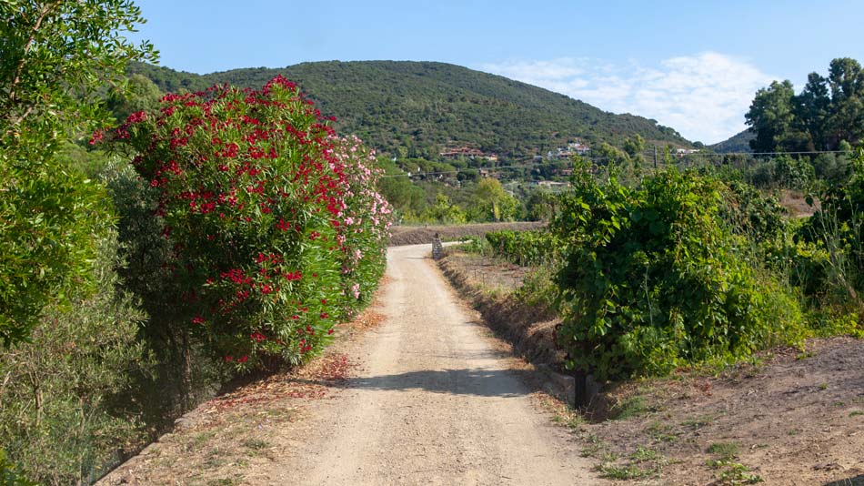 The organic Farm. Camping Orti di Mare, Elba Island, Italy