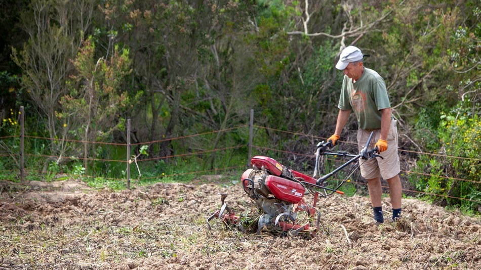 The organic Farm. Camping Orti di Mare, Elba Island, Italy