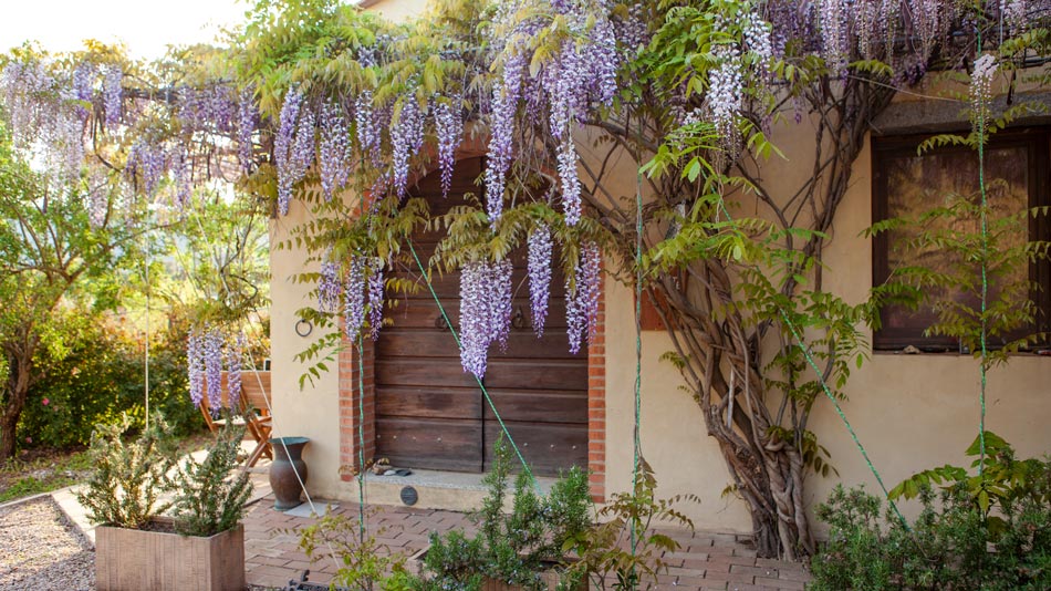 The organic Farm. Camping Orti di Mare, Elba Island, Italy