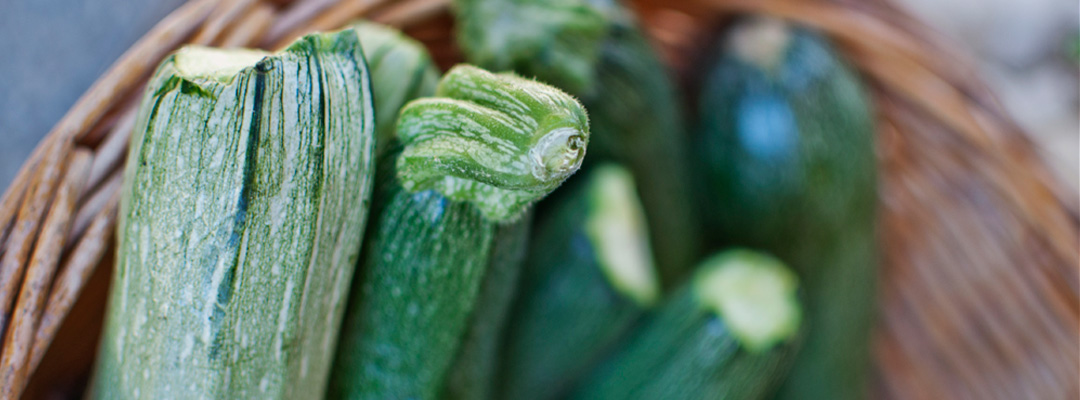 I nostri prodotti: bio zucchine