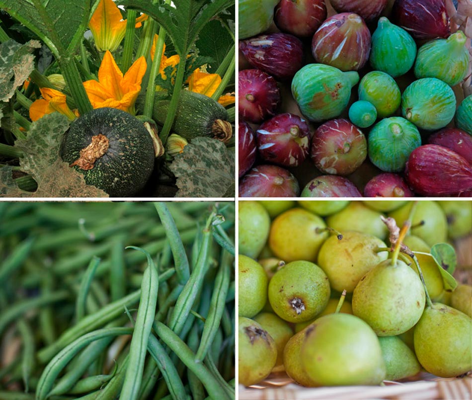 Fruits, vegetables, jams, bread and biscuits, wine; the fruit of our work. Camping Orti di Mare, Lacona - Elba Island, Italy