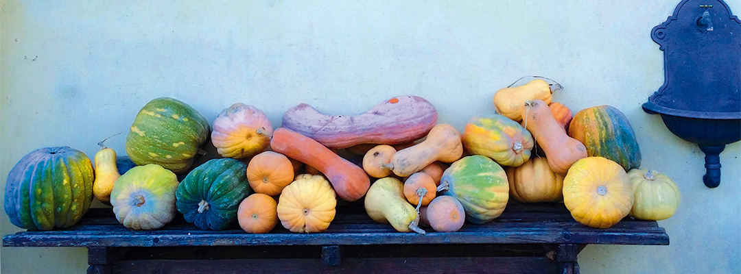 I nostri prodotti: tutti i colori della zucca