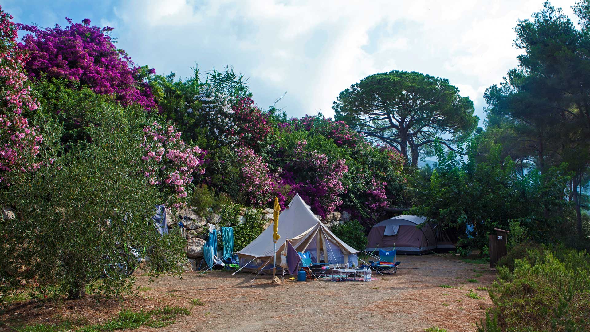 Campingzelte, Orti di Mare: Campingplatz in der Nähe vom Meer - Elba - Italien